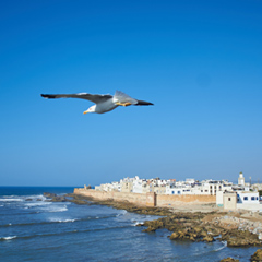 写真：Sqala du Port d'Essaouira